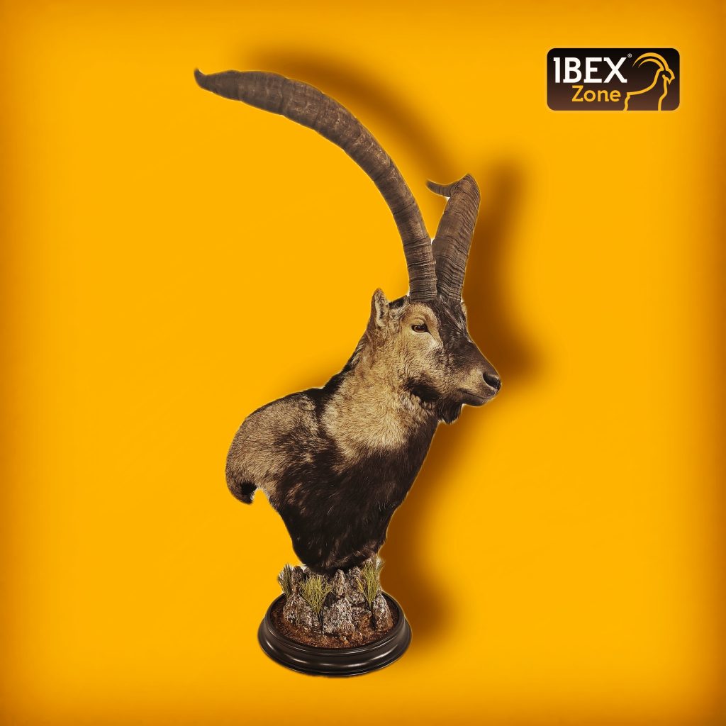 group ibex zone 1177 16402
