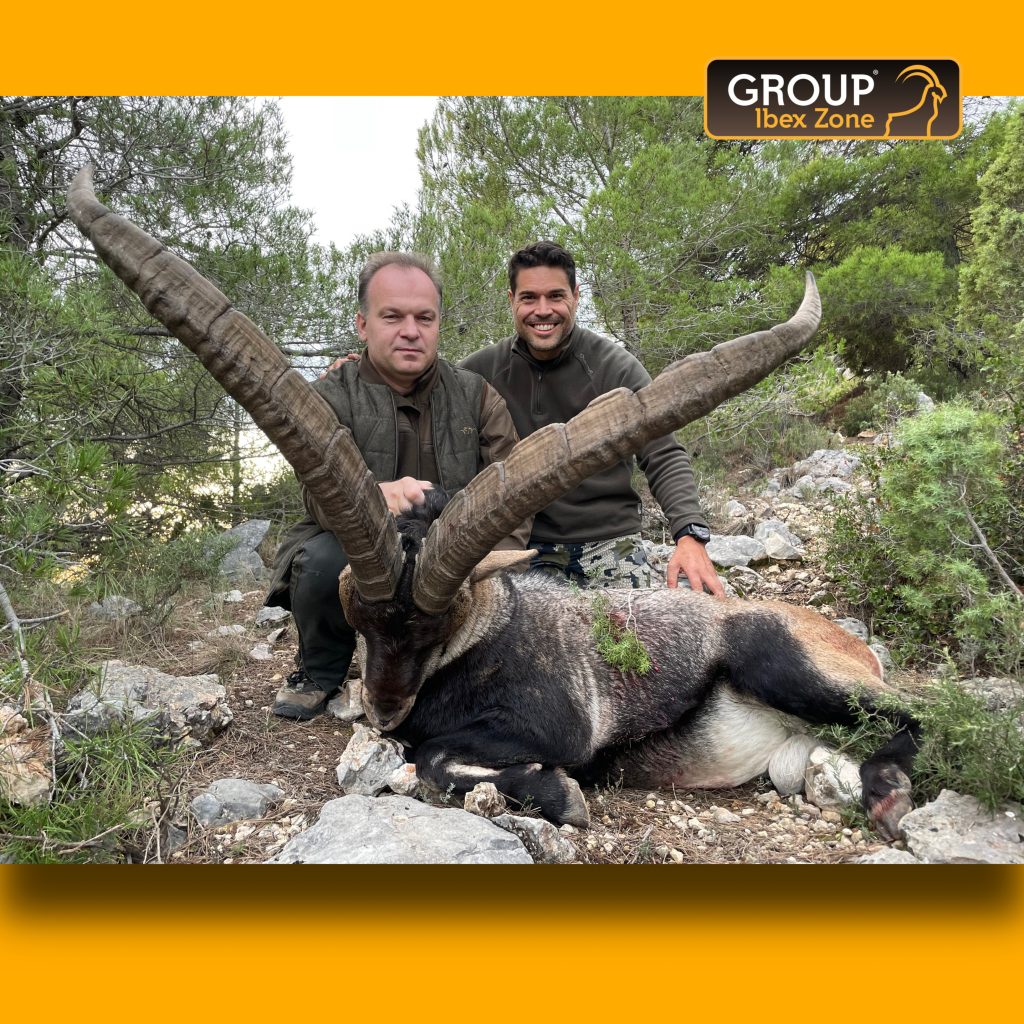 Group ibex zone 16426
