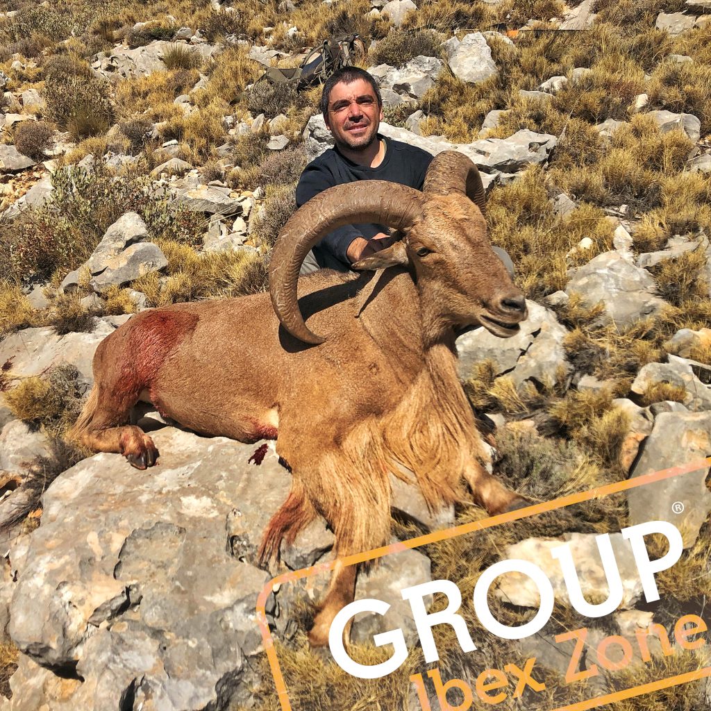 group ibex zone 593 16376