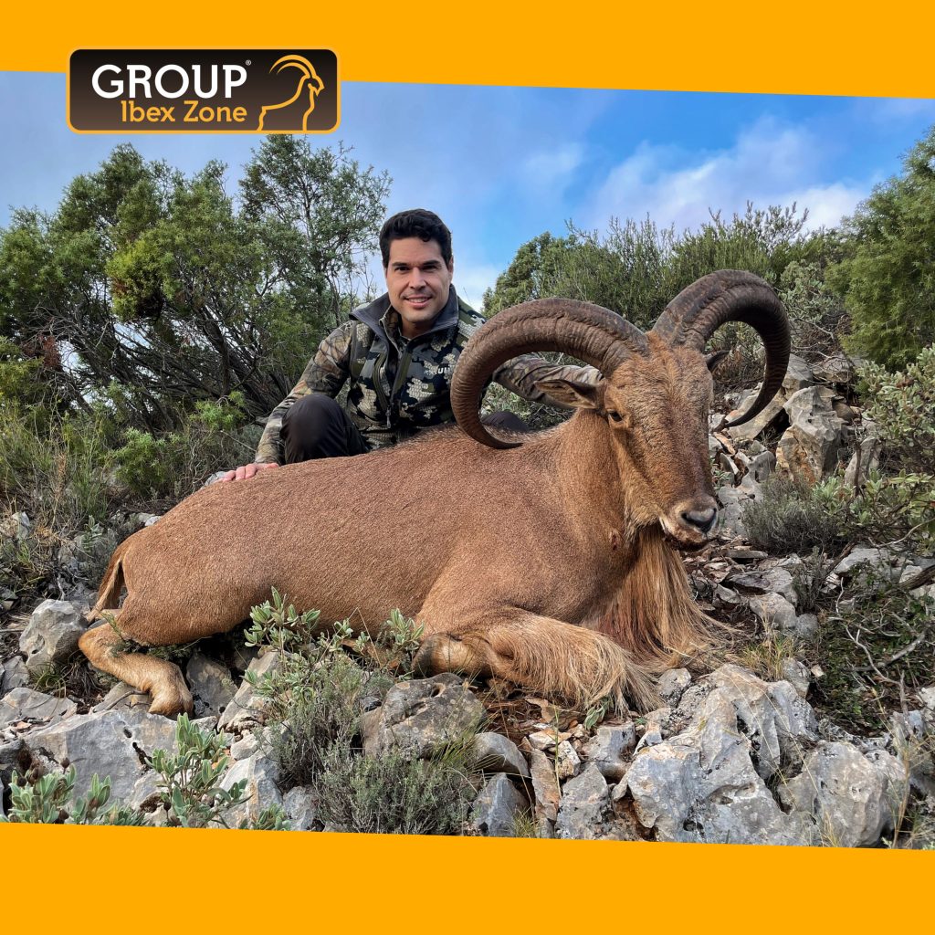 group ibex zone 976 16388