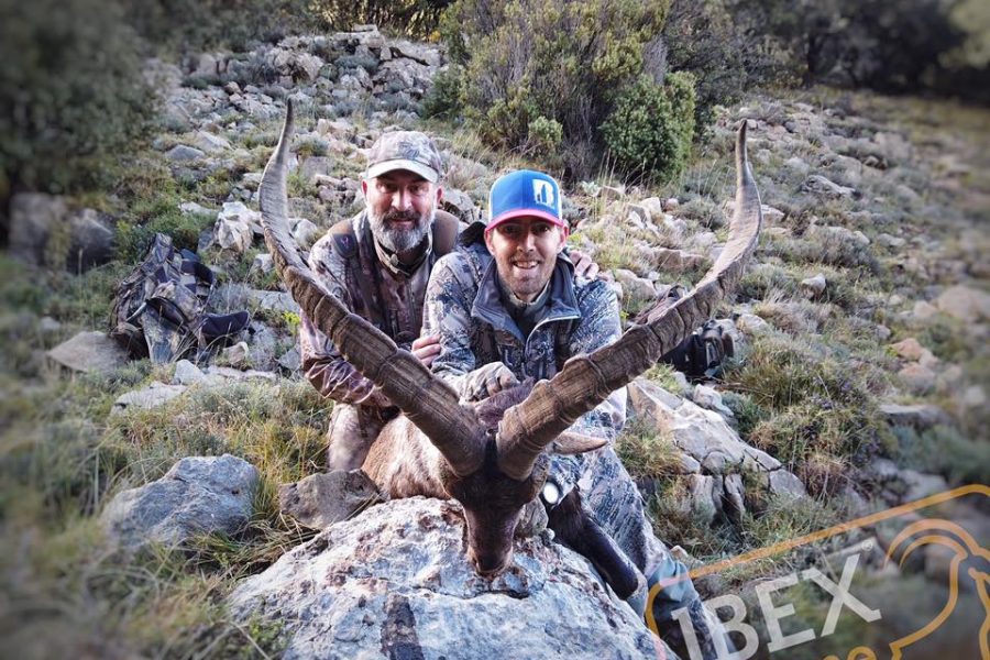 new video – hunting spanish beceite ibex 2019