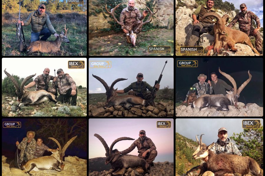 The hunting season 2018-2019 , Group Ibex Zone